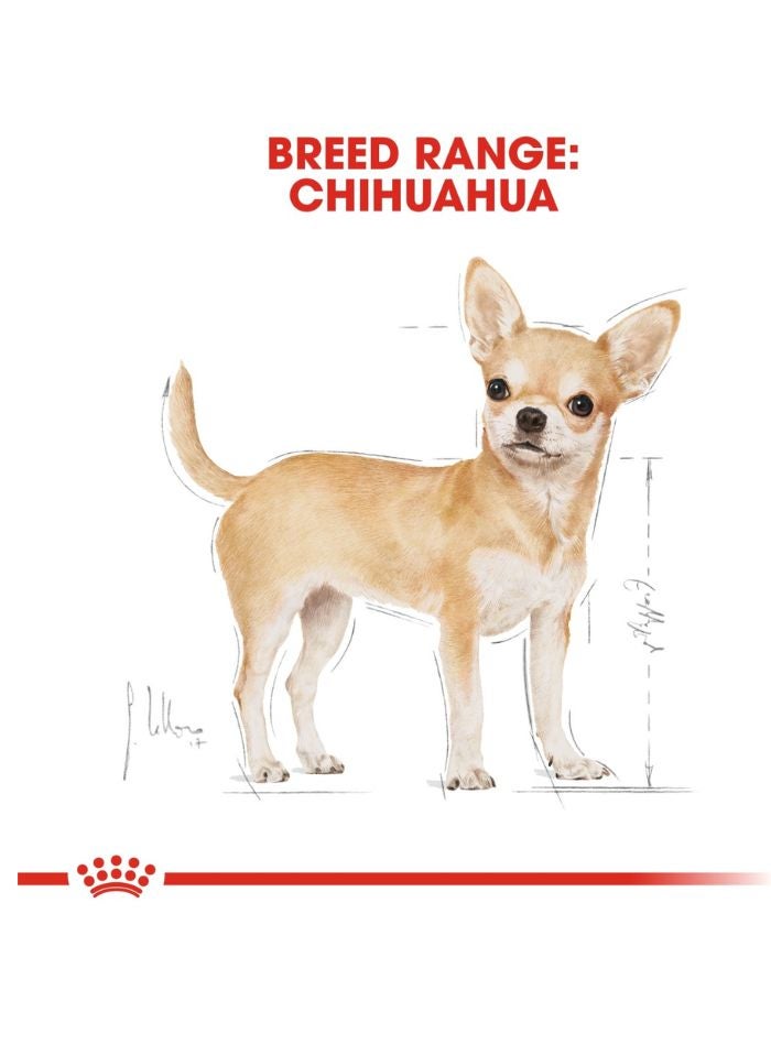 ROYAL CANIN تغذية صحة السلالة تشيهواهوا للبالغين 1.5 كجم - Image 5
