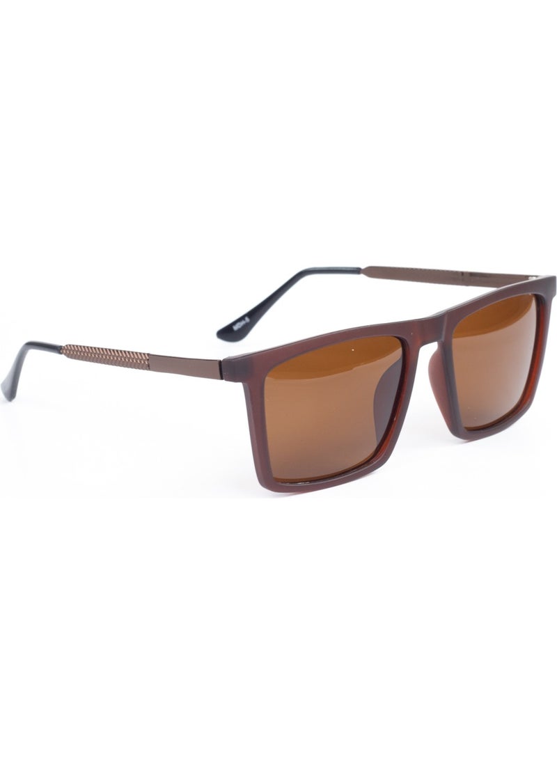 Focus On Mascul Brown Sunglasses  - Image 1