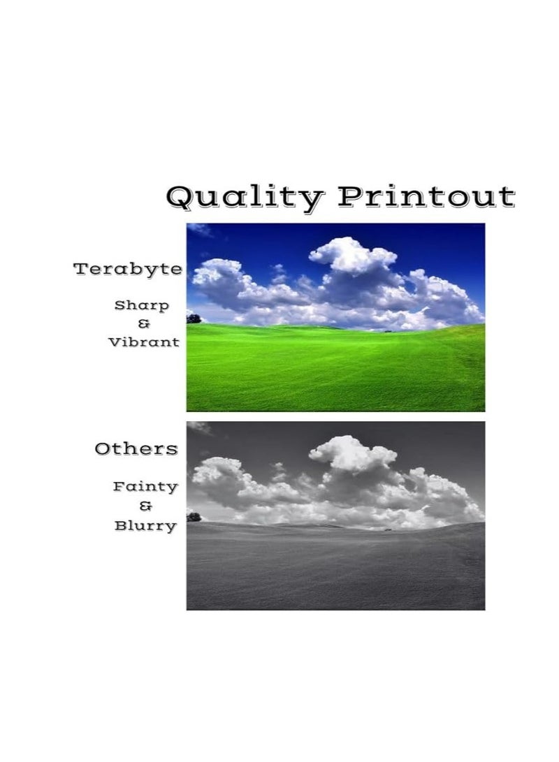 Terabyte Compatible Toner Cartridge Replacement for HP 203A CF540A CF540 work for HP Color Laserjet Pro M254 M254dw MFP M280 M280nw M281cdw M281fdn M281fdw Printer Pack Of 4 - Image 3