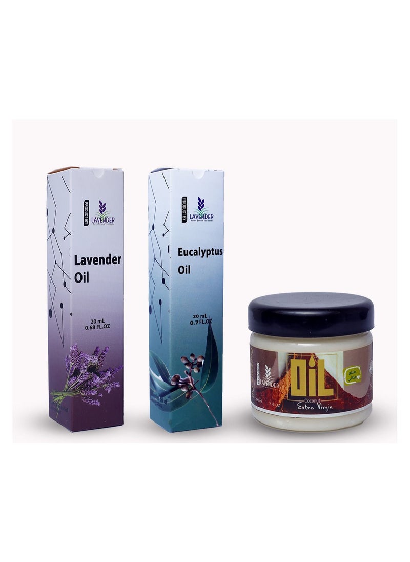 The Recovery Box ( Set With 3 Relaxing  Massage Oils ) - pzsku/ZCAA603AD32AF1E44F14BZ/45/_/1663506586/5d120ef2-970b-4735-ae9a-1a418a43d337