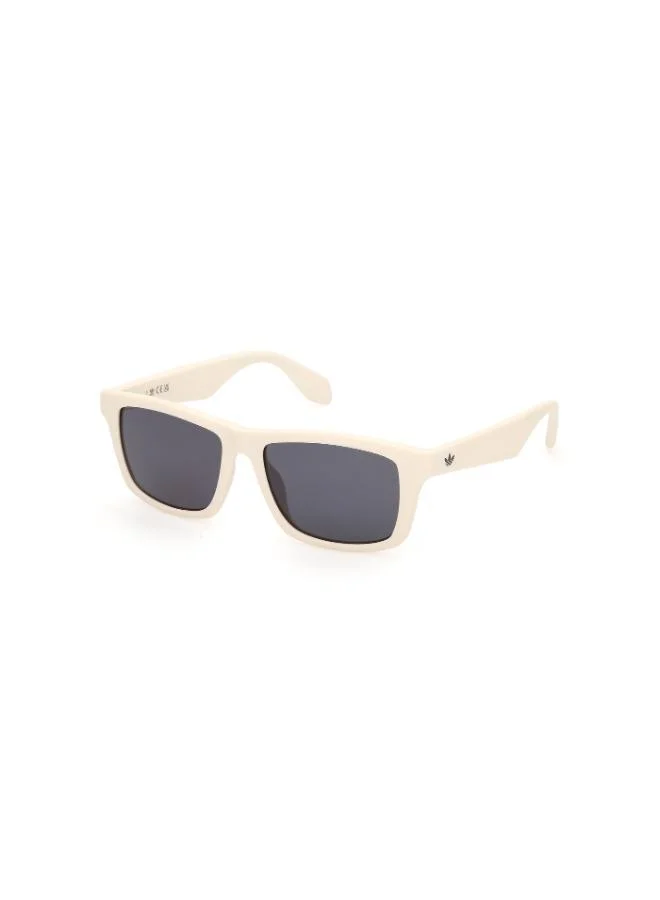 Adidas Wayfarers Sunglasses