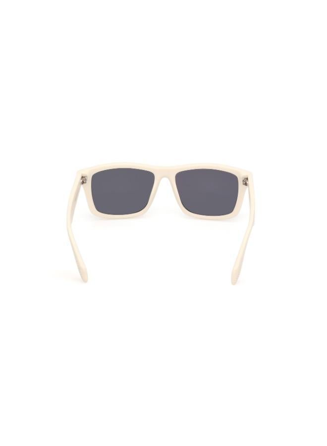 Adidas Wayfarers Sunglasses - Image 5
