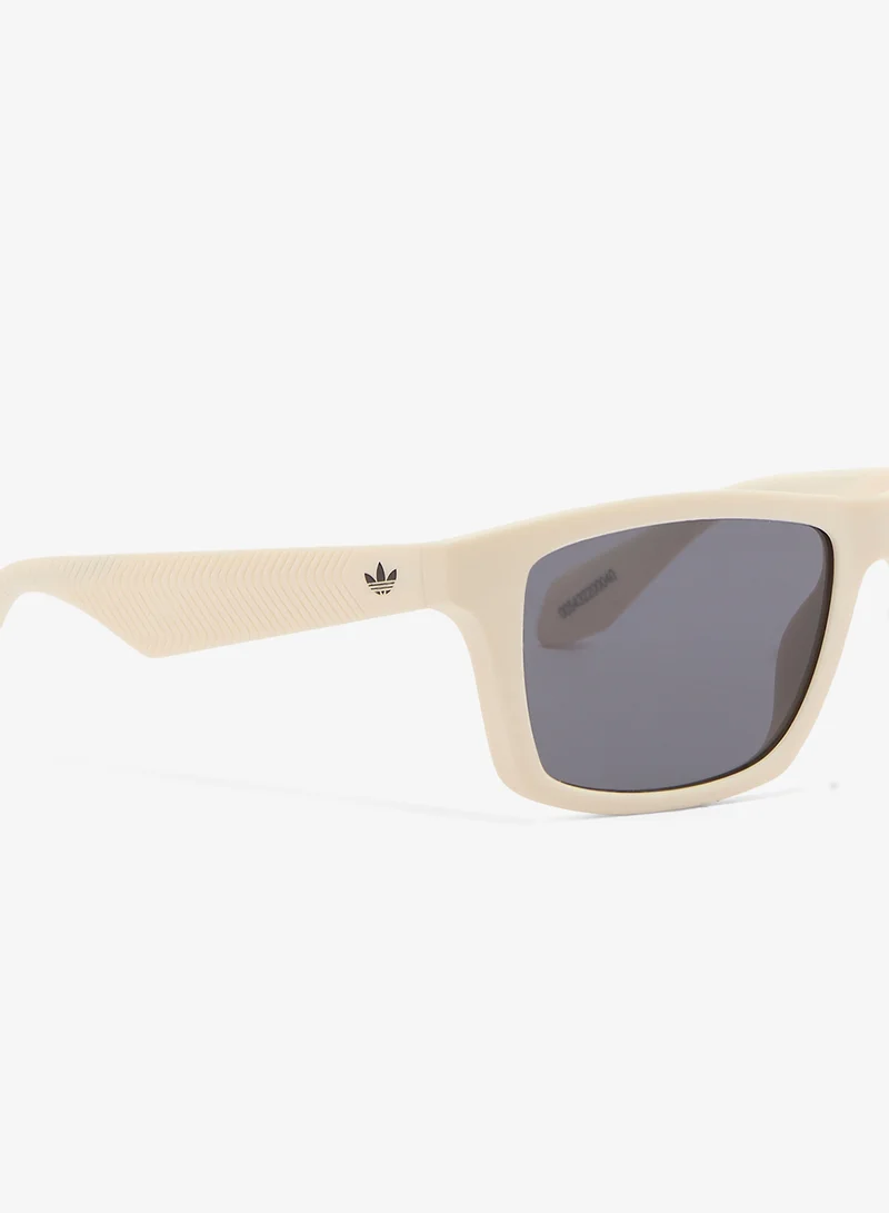 Adidas  Wayfarers Sunglasses  | Best Price UAE