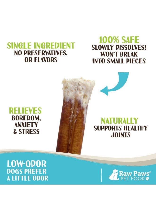 Raw Paws Standard Bully Sticks For Dogs 6 Inch, 10Ct  Medium Bully Sticks For Dogs  Free Range Cows No Added Hormones  Junior Pizzle Sticks For Dogs  Long Lasting Bully Bones - Image 2