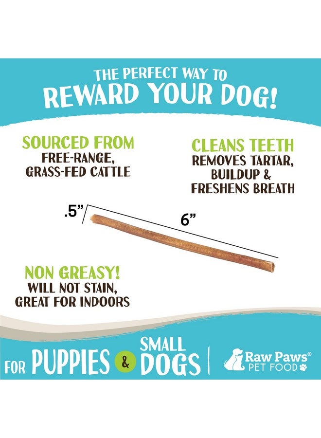 Raw Paws Standard Bully Sticks For Dogs 6 Inch, 10Ct  Medium Bully Sticks For Dogs  Free Range Cows No Added Hormones  Junior Pizzle Sticks For Dogs  Long Lasting Bully Bones - Image 3