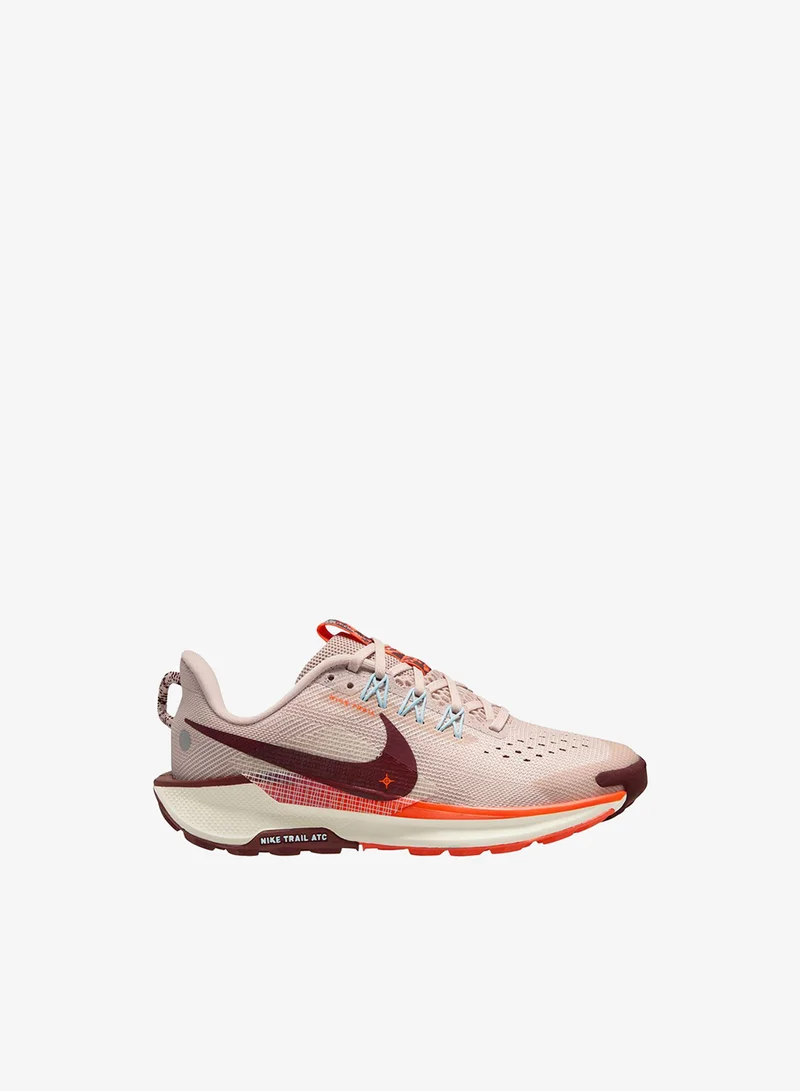 Nike Nike Pegasus Trail 5
