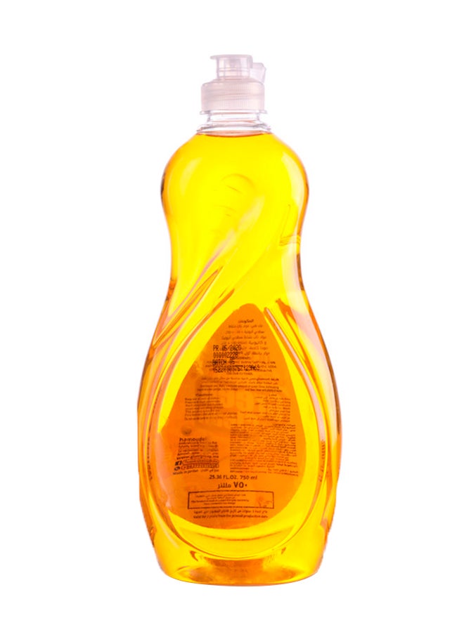 Green Clean Dishwashing Liquid Orange 750ml - Image 3