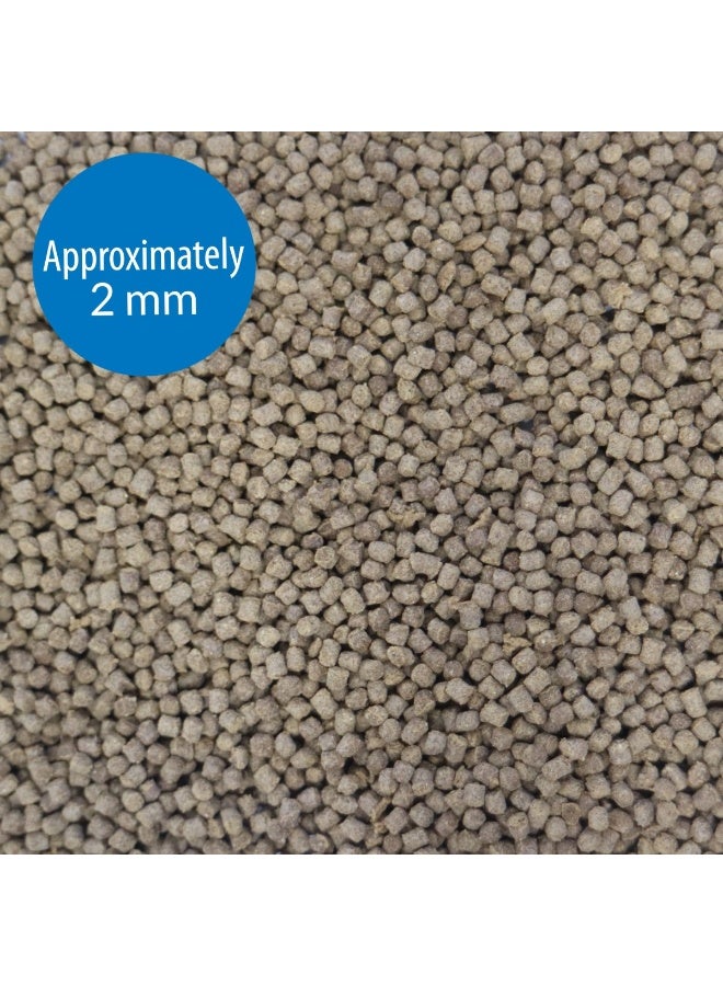 ايه بي آي طعام الأسماك الاستوائية من API Pellets، 4.2 أونصة - Image 2