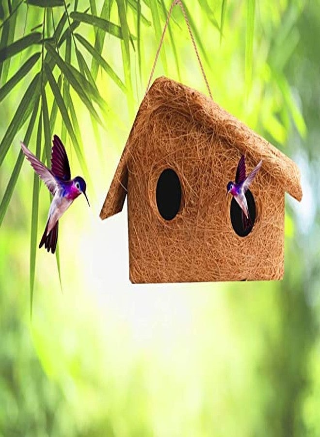 LIVEONCE Safest Organic Bird nest Double Window House Purely Handmade Nest for All Small Birds (Small) - Image 4
