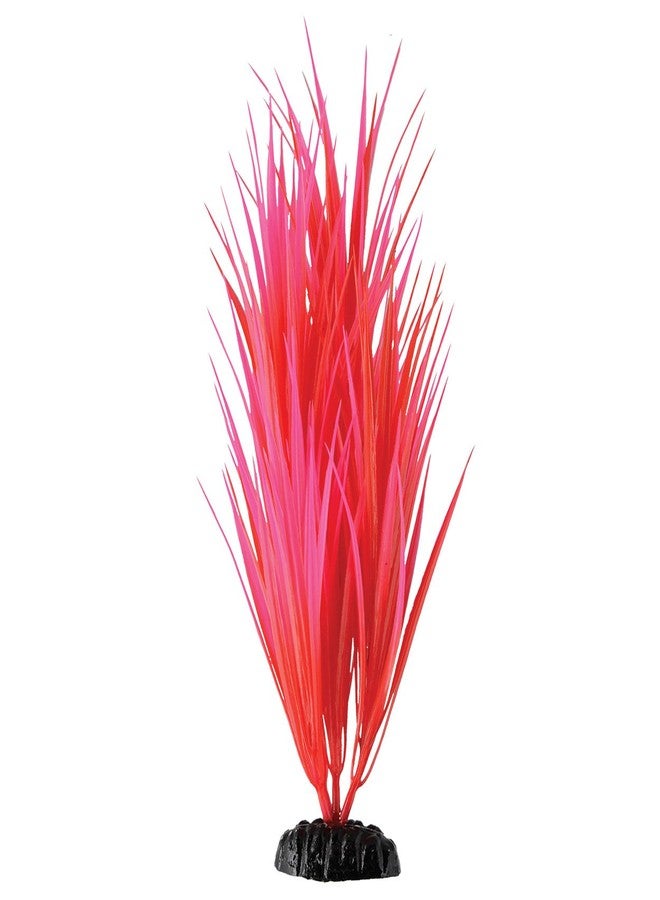 Underwater Treasures Rose Nile Grass - 11.5" - Image 2