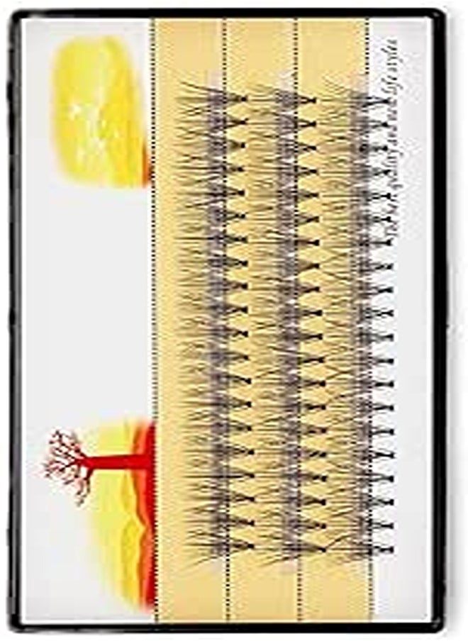 Generic - fasafii 60knots/Case Natural False Eyelash Extension Makeup 10D Individual Faux Eye Lashes Professional Fake Grafting Cilias (Color : 14mm, Size : 0.10mm) - Image 1