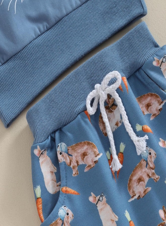 wybzd Toddler Baby Boys Girls Easter Outfit Crewneck Sweatshirt Bunny Top Carrot Rabbit Pants Sets Spring Summer Clothes (Blue, 2-3 Years) - Image 4