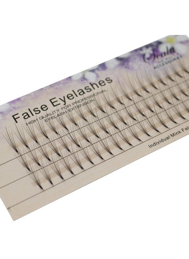 Bodermincer Scala Eyelash Extensions Russian Volume 5D Fans Phoenix Tail Design Individual False Eyelashes Cluster Thickness 0.07Mm C Curl 815Mm To Choose (12Mm)  - Image 3
