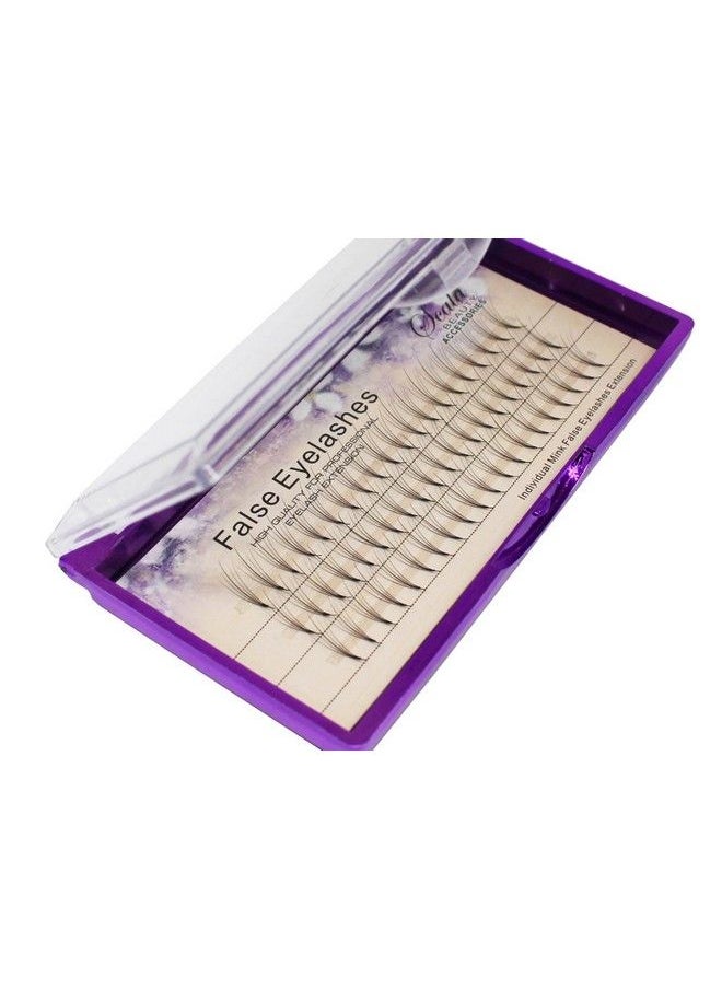 Bodermincer Scala Eyelash Extensions Russian Volume 5D Fans Phoenix Tail Design Individual False Eyelashes Cluster Thickness 0.07Mm C Curl 815Mm To Choose (12Mm)  - Image 2