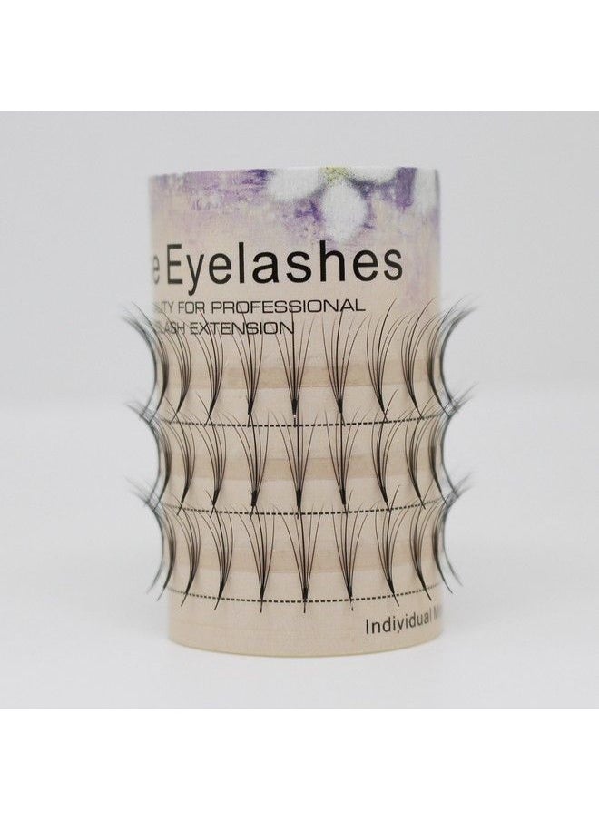 Bodermincer Scala Eyelash Extensions Russian Volume 5D Fans Phoenix Tail Design Individual False Eyelashes Cluster Thickness 0.07Mm C Curl 815Mm To Choose (12Mm)  - Image 5