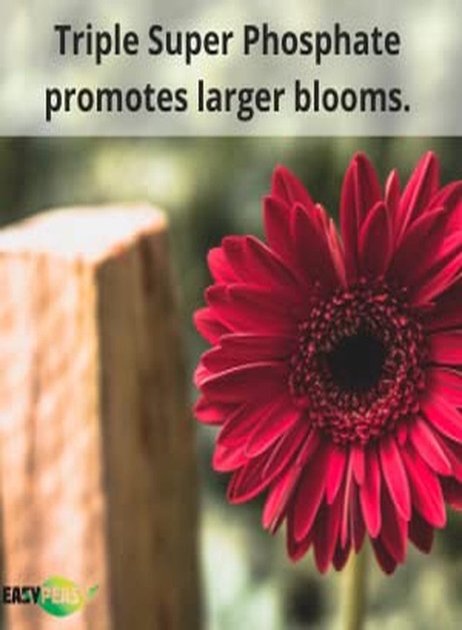 Easy Peasy TRIPLE SUPER PHOSPHATE FERTILIZER 0-46-0 | phosphorus fertilizer for gardens, lawns, indoor and outdoor plants | ROCK PHOSPHATE PLANT FOOD FERTILIZER FOR ORCHIDS, WISTERIA, CACTUS AND ALL OTHER PLANTS - Image 4