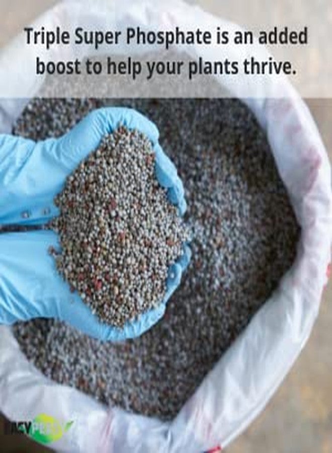 Easy Peasy TRIPLE SUPER PHOSPHATE FERTILIZER 0-46-0 | phosphorus fertilizer for gardens, lawns, indoor and outdoor plants | ROCK PHOSPHATE PLANT FOOD FERTILIZER FOR ORCHIDS, WISTERIA, CACTUS AND ALL OTHER PLANTS - Image 2