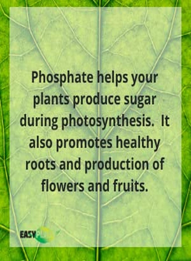 Easy Peasy TRIPLE SUPER PHOSPHATE FERTILIZER 0-46-0 | phosphorus fertilizer for gardens, lawns, indoor and outdoor plants | ROCK PHOSPHATE PLANT FOOD FERTILIZER FOR ORCHIDS, WISTERIA, CACTUS AND ALL OTHER PLANTS - Image 3