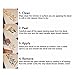 MHDStickerCo Shatobio Uchiha Family Symbol Vinyl Decal Sticker 5 Tall - Image 3