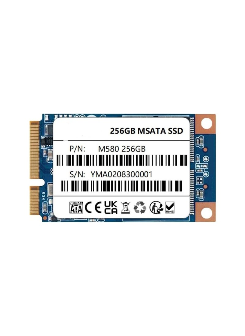 ماركة غير محددة محرك أقراص SSD داخلي mSATA III سعة 256 جيجابايت – تخزين سريع للابتوب وأجهزة الكمبيوتر 