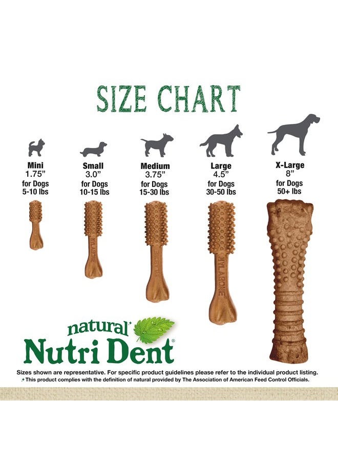 Nylabone Nutri Dent Dog Dental Chews - Natural Dog Teeth Cleaning & Breath Freshener - Dental Treats for Dogs - Filet Mignon Flavor, Mini (32 Count)  - Image 3