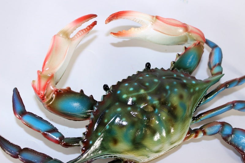 شارلوت إنترناشونال ديكور جداري على شكل سطلعون شاطئ ماريلاند - Image 3