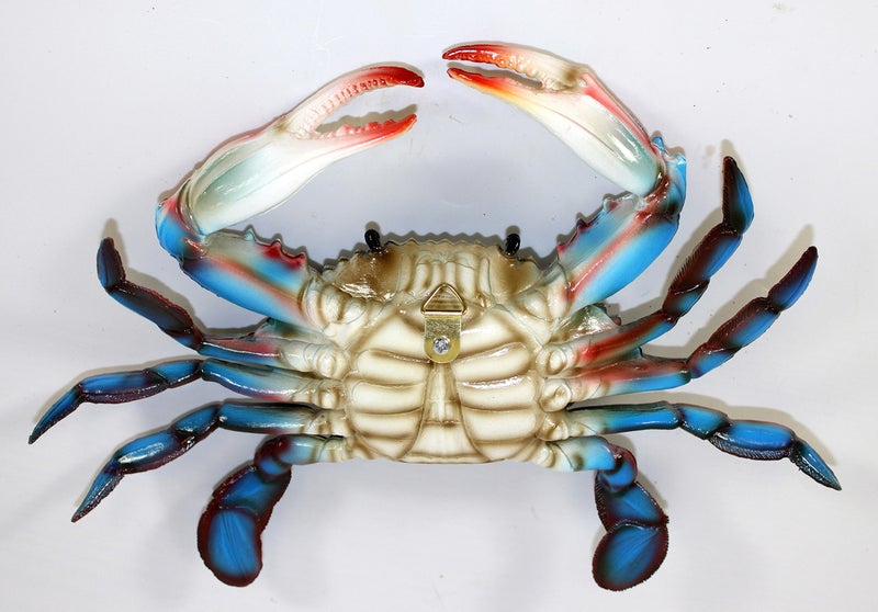 شارلوت إنترناشونال ديكور جداري على شكل سطلعون شاطئ ماريلاند - Image 2