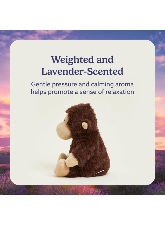 Warmies دمى دافئة قابلة للتسخين بالميكروويف ووزنها، قرد - دمية محشوة مدفأة للدفء والراحة - ألعاب محشوة ناعمة لطيفة للبالغين والأطفال (الأولاد، البنات، الرضع والأطفال الصغار) - Image 3