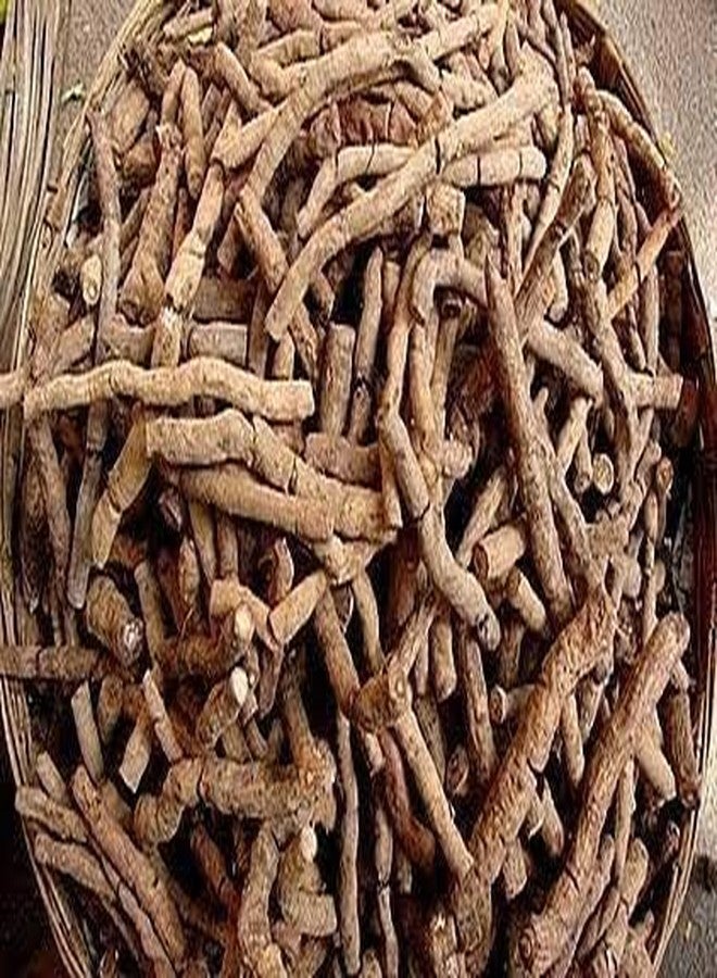 Neotea Organic Sarsaparilla Root | Indian Sarsaparilla Tea | Hemidesmus Indicus | Sasparilla/Zarzaparrilla | Cut & Sifted | Herbal Root Tea | 100% Pure & Natural | No Additives or Preservatives (100 GM(3.52 OZ)) - Image 3