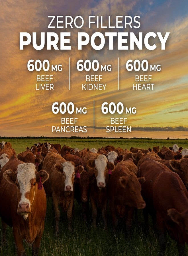 ForestLeaf Beef Organ Supplement - Grass Fed & Pasture Raised - Total Body Wellness & Performance, Organ Complex with 3000mg of Desiccated Beef Liver, Heart, Kidney, Pancreas, Spleen (180 Capsules) - Image 5