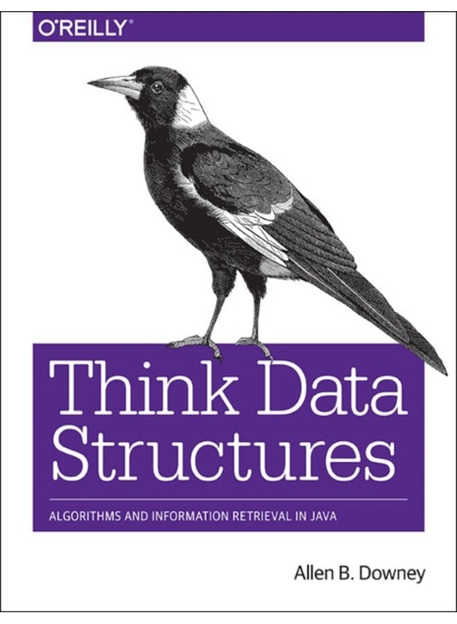 Think Data Structures Algorithms and Information Retrieval in Java - Paperback