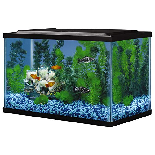 Tetra Glass Aquarium 5.5 Gallons, Rectangular Fish Tank - Image 3