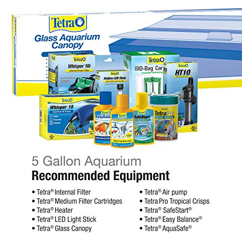 Tetra Glass Aquarium 5.5 Gallons, Rectangular Fish Tank - Image 5