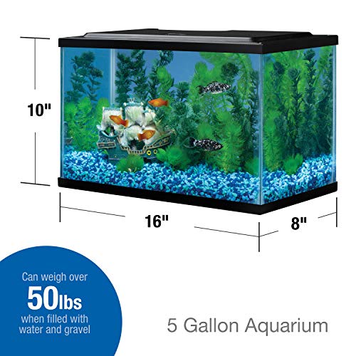 Tetra Glass Aquarium 5.5 Gallons, Rectangular Fish Tank - Image 2