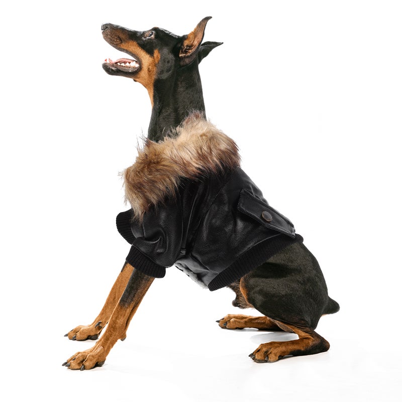 Puppy Clothing Breathable Dog Clothes Adorable Dog Puppy Winter Jacket Warm Puppy Costume - Image 3