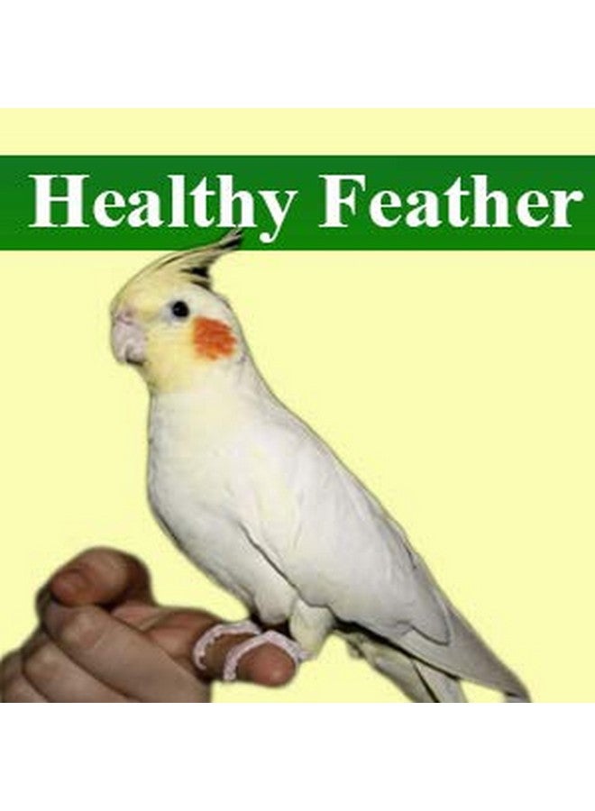 Western Era Natural High Calcium Source Cuttlebone Fish For Birds, Parrot (400Grm) - Image 4