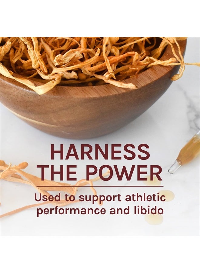 Host Defense - , Cordyceps Extract, Supports Energy and Stamina, Mushroom Supplement, Plain, 1 fl oz - Image 1