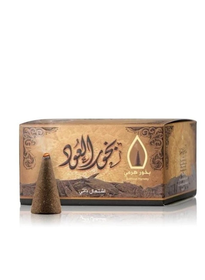 Sedr Al-Khaleej Perfumes Sidr Al Khaleej Oud Incense Pyramid - 50 EGP 