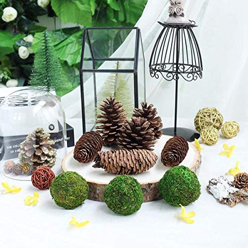 Dycica Farmoo Moss Balls Preserved All Natural, 3.5"-Set of 6 (Natural Green) - Image 4