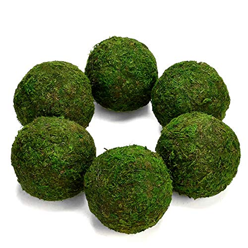Dycica Farmoo Moss Balls Preserved All Natural, 3.5"-Set of 6 (Natural Green) - Image 1