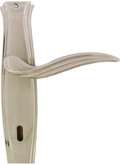Azm Hırdavat Azm System Elera Inox Nb Mirrored Door Handle Room  - Image 3