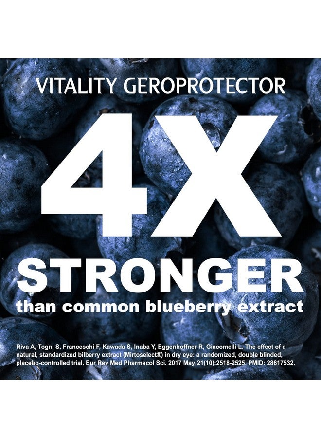 Thrivous Vitality - Enhance Cell & DNA Function for Better Aging - Advanced Natural Geroprotector Supplement: Berberine, Milk Thistle, CoQ10, Mirtoselect Blueberry Anthocyanin - 60 Capsules - Image 2