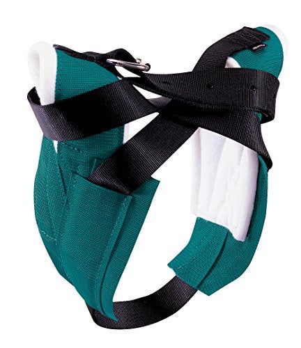 Weaver Leather Super 8 Horn Wrap, Teal - Image 1