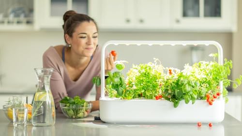 Click and Grow Smart Garden Mini Tomato Plant Pods, 9-Pack - Image 3