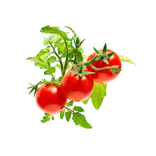 Click and Grow Smart Garden Mini Tomato Plant Pods, 9-Pack - Image 2