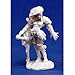 Reaper Terezinya Bonepander Wizard 1 Miniature - Image 2