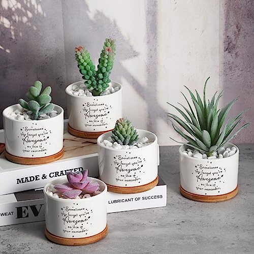 Seewey 12 Pcs Inspirational Succulent Pots Thank You Gift Bulk for Women Employee Teacher Coworker Sometimes You Forget You're Awesome Small Ceramic Plant with Bamboo Trays for Office Staff Graduation - Image 5