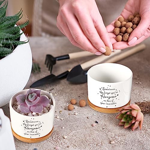 Seewey 12 Pcs Inspirational Succulent Pots Thank You Gift Bulk for Women Employee Teacher Coworker Sometimes You Forget You're Awesome Small Ceramic Plant with Bamboo Trays for Office Staff Graduation - Image 4