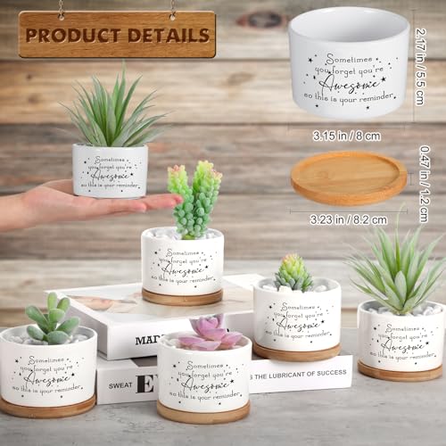 Seewey 12 Pcs Inspirational Succulent Pots Thank You Gift Bulk for Women Employee Teacher Coworker Sometimes You Forget You're Awesome Small Ceramic Plant with Bamboo Trays for Office Staff Graduation - Image 2