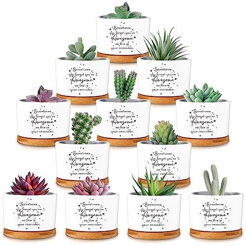 Seewey 12 Pcs Inspirational Succulent Pots Thank You Gift Bulk for Women Employee Teacher Coworker Sometimes You Forget You're Awesome Small Ceramic Plant with Bamboo Trays for Office Staff Graduation - Image 1